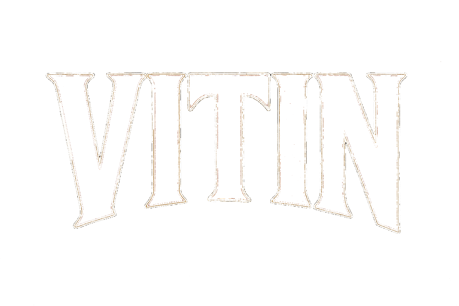 vitin_logo (1) (1).png